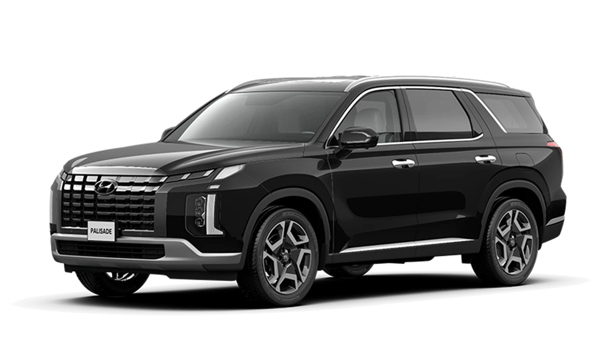 Hyundai Palisade Long An